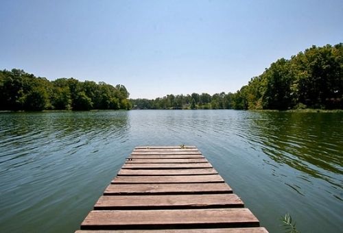 Natchez Trace Rv Campground Hohenwald Bagian luar foto